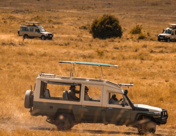4 Day/ 3 Night Safaris: Suggested Itinerary & Quote