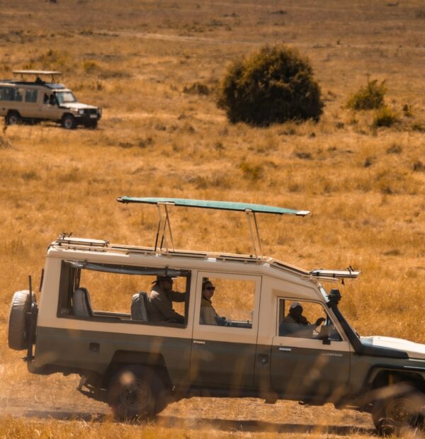 4 Day/ 3 Night Safaris: Suggested Itinerary & Quote