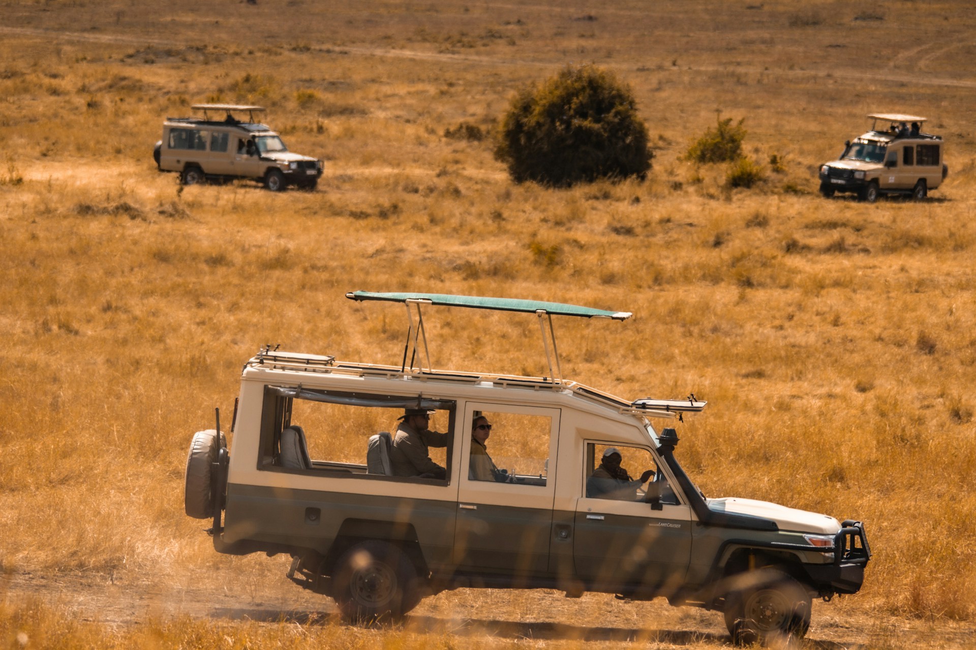 4 Day/ 3 Night Safaris: Suggested Itinerary & Quote